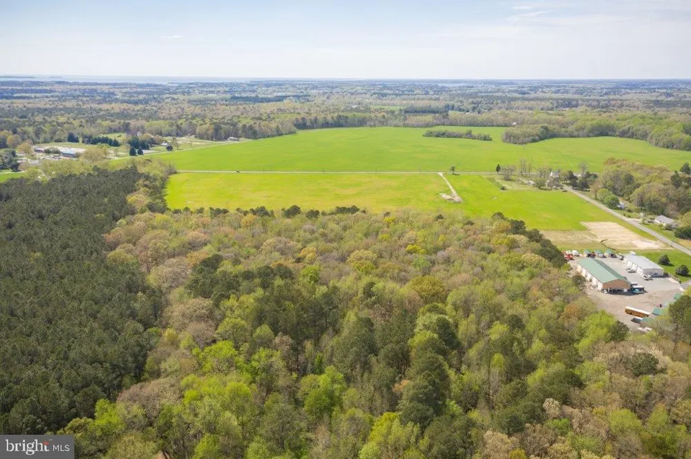 4502 OLD TRAPPE ROAD Trappe, MD 21673