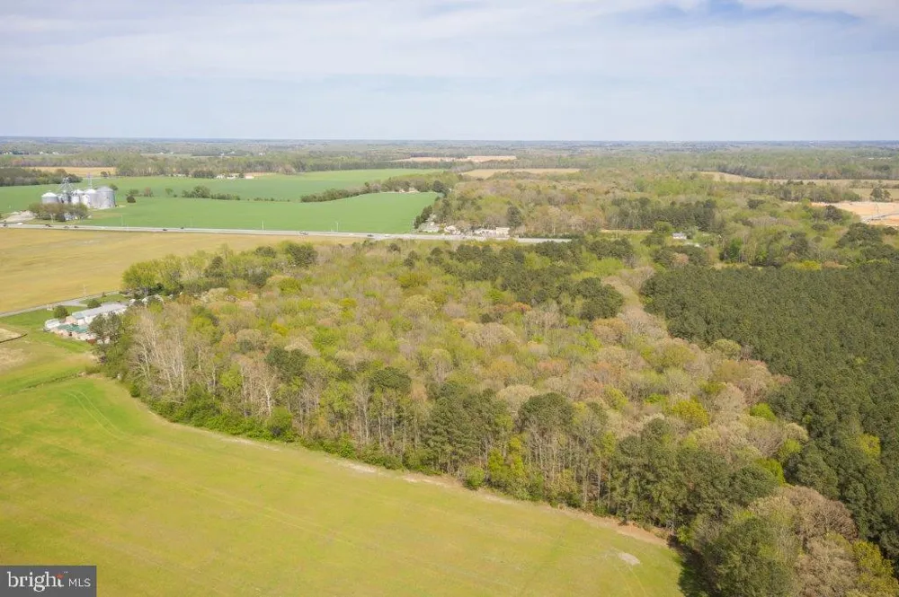 4502 OLD TRAPPE ROAD Trappe, MD 21673