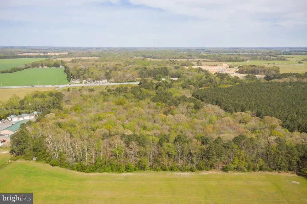 4502 OLD TRAPPE ROAD Trappe, MD 21673