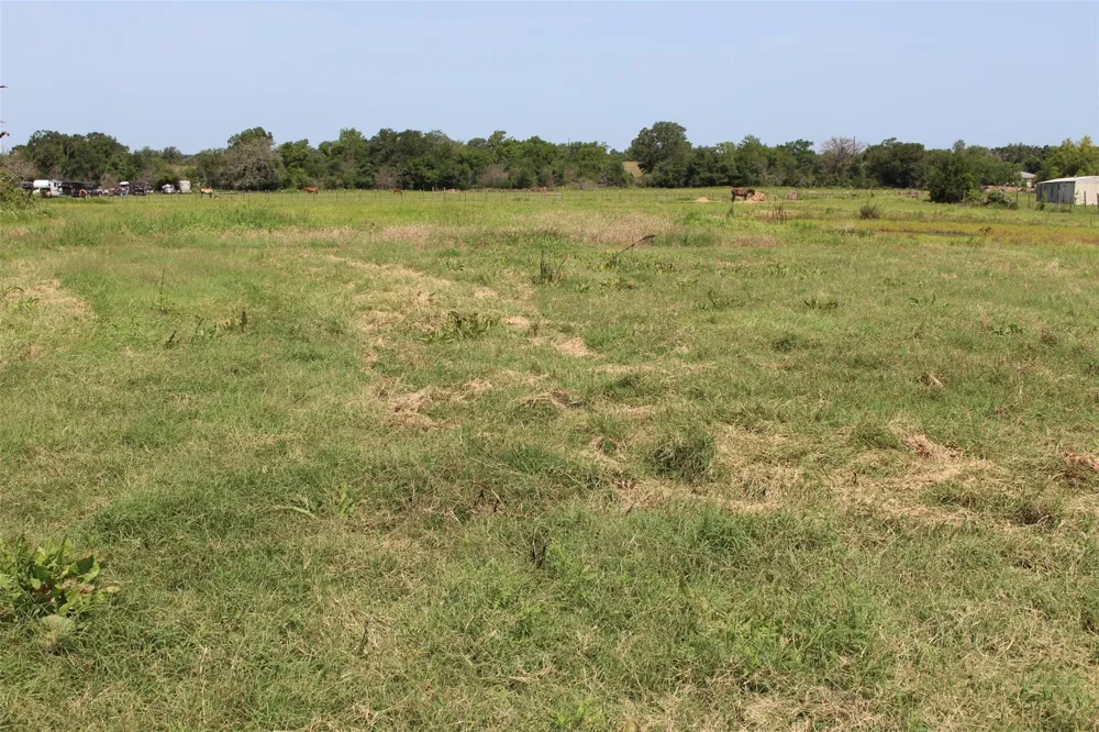 2547 Bob Mathews Street Bedias, TX 77831