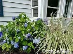 16A Bishop Avenue Westhampton, NY 11977