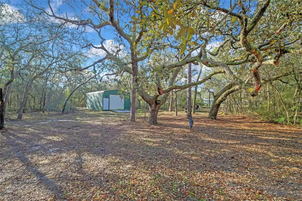 340 E SAVOY STREET Lecanto, FL 34461