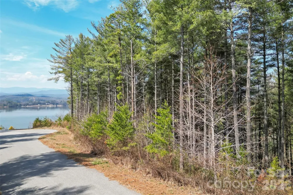 154 West Point Drive Nebo, NC 28761