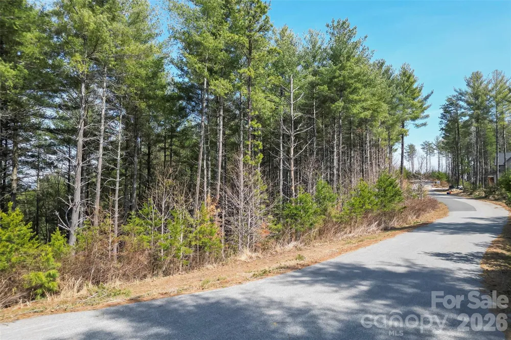 154 West Point Drive Nebo, NC 28761