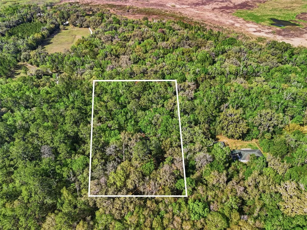 8856 NW 230TH STREET Micanopy, FL 32667