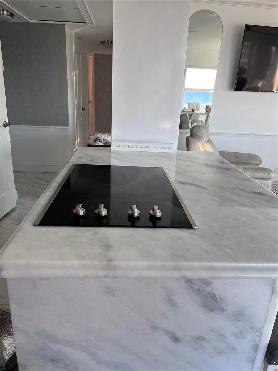 880 MANDALAY AVENUE #S302 Clearwater Beach, FL 33767