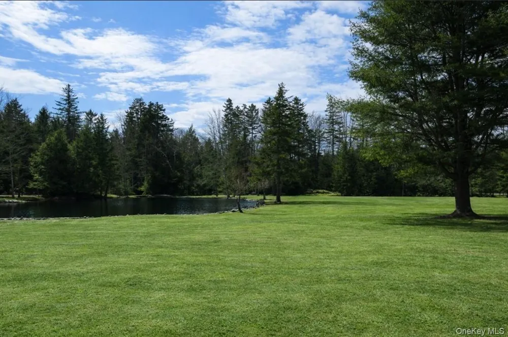 698 Cooley Road Parksville, NY 12768