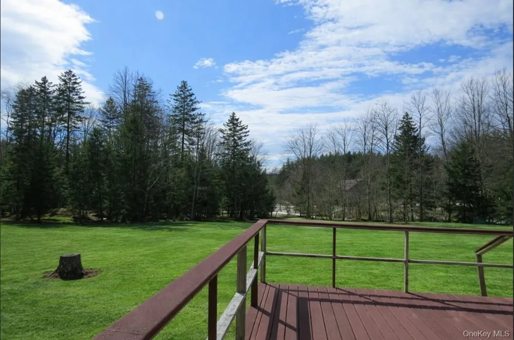 698 Cooley Road Parksville, NY 12768