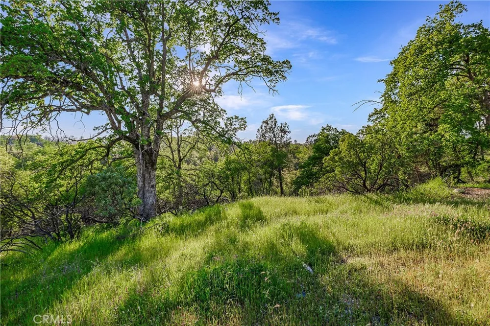 166 Quartz Hill Road Redding, CA 96003