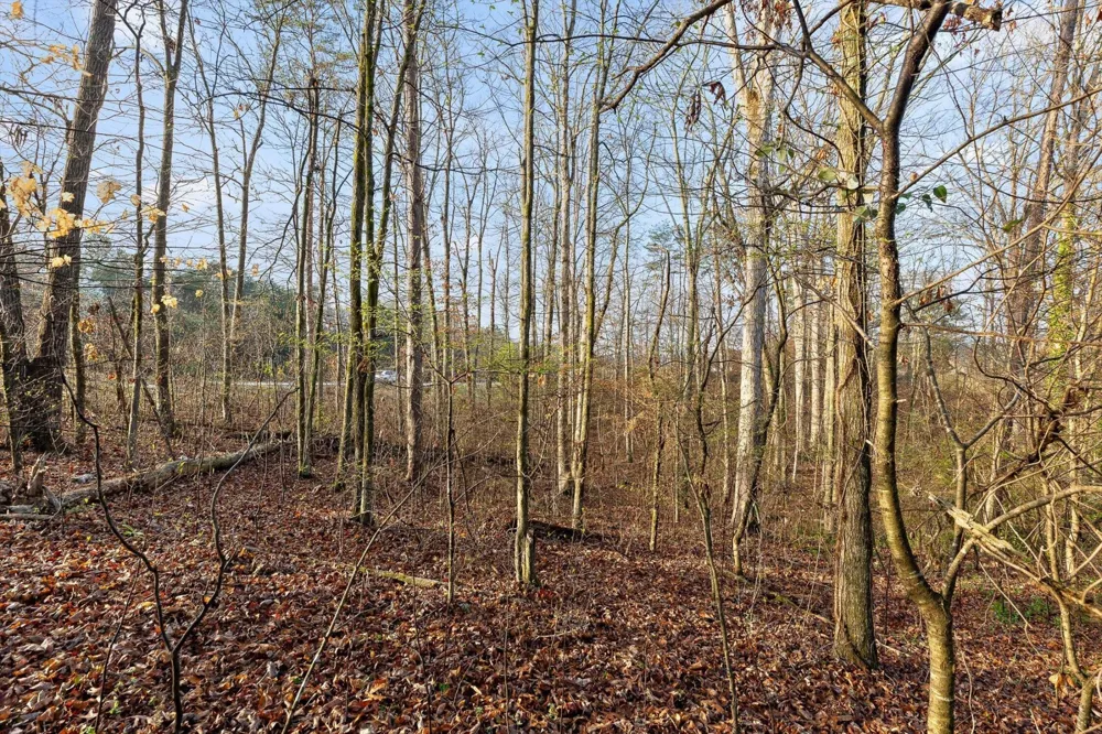 8961 Highway 58 Harrison, TN 37341