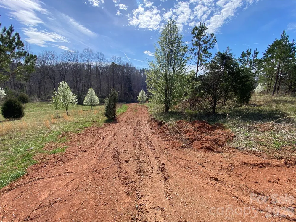 0 Coxe Road Rutherfordton, NC 28139