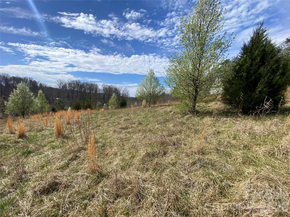0 Coxe Road Rutherfordton, NC 28139