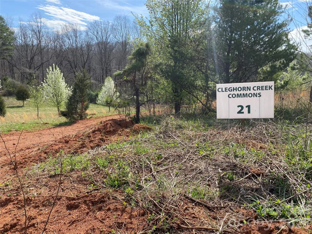0 Coxe Road Rutherfordton, NC 28139