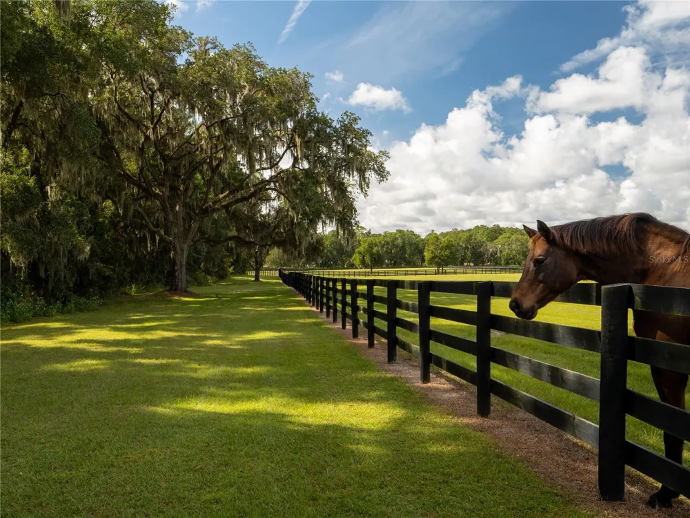 2875 NW 150 AVENUE ocala, FL 34482