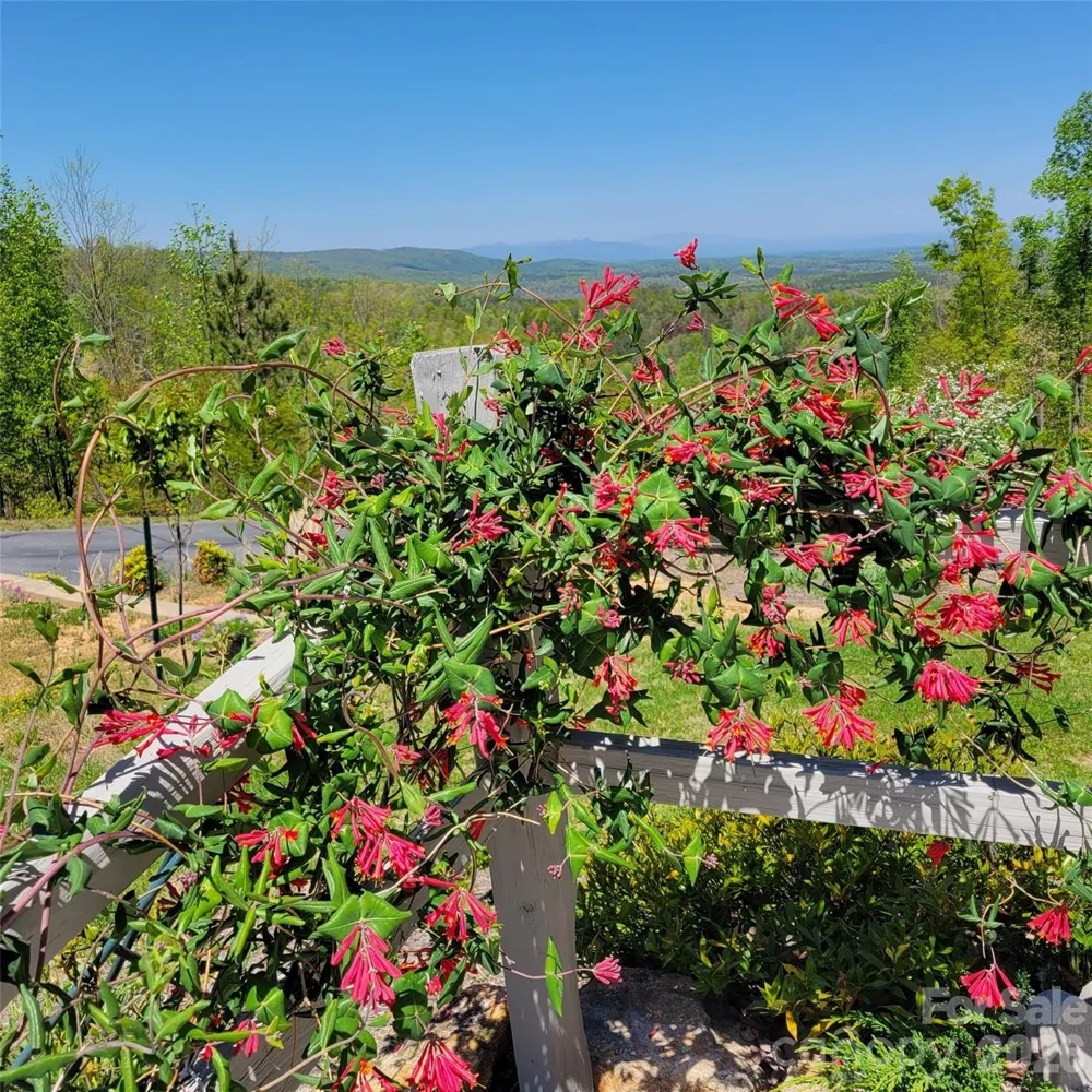 2262 Grandview Peaks Drive Nebo, NC 28761