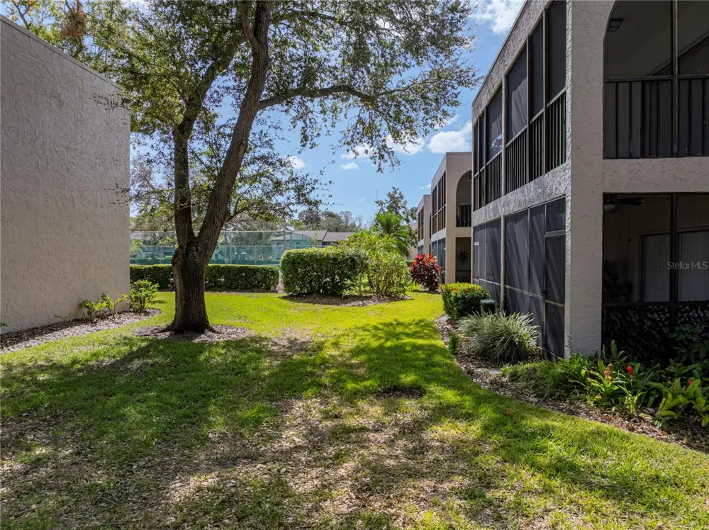 9700 STARKEY ROAD #312 Seminole, FL 33777