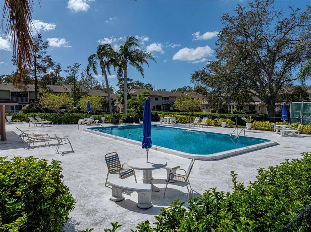 9700 STARKEY ROAD #312 Seminole, FL 33777