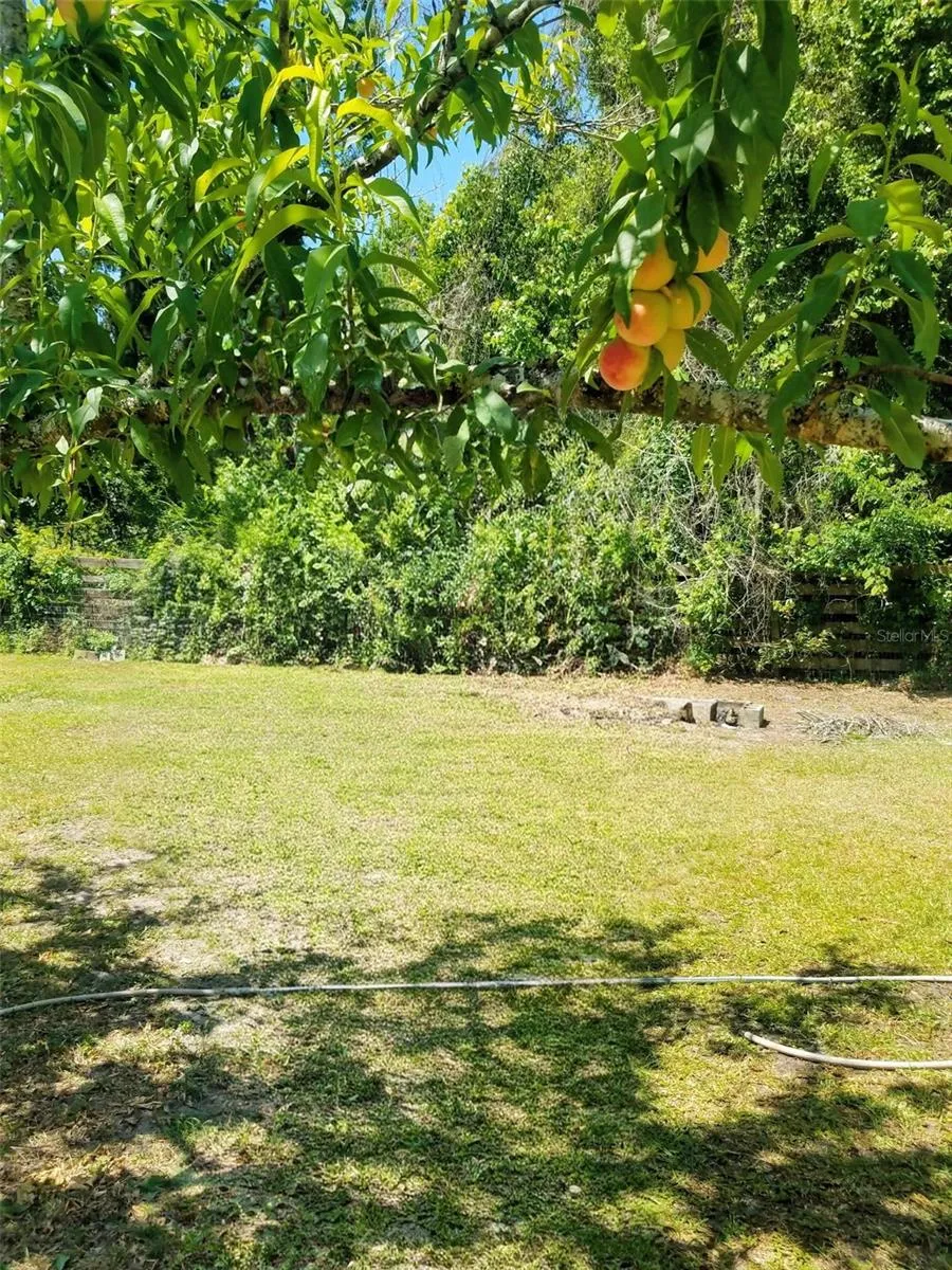 12182 SW STATE ROAD 45 Archer, FL 32618