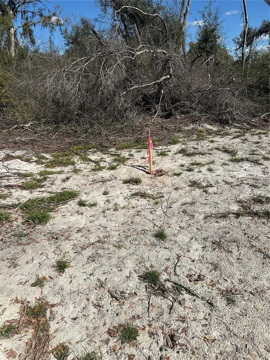 NE 688TH AVENUE Cross City, FL 32628