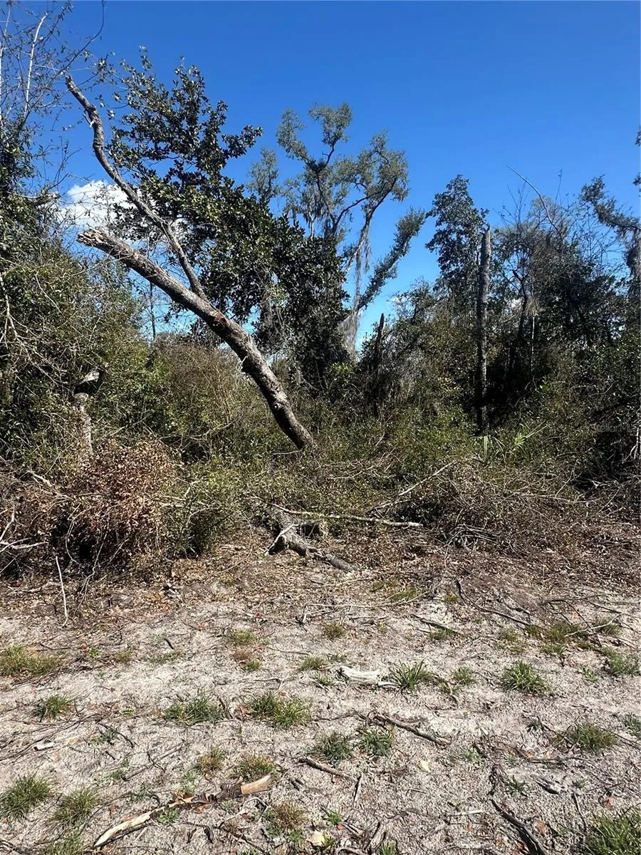 NE 688TH AVENUE Cross City, FL 32628