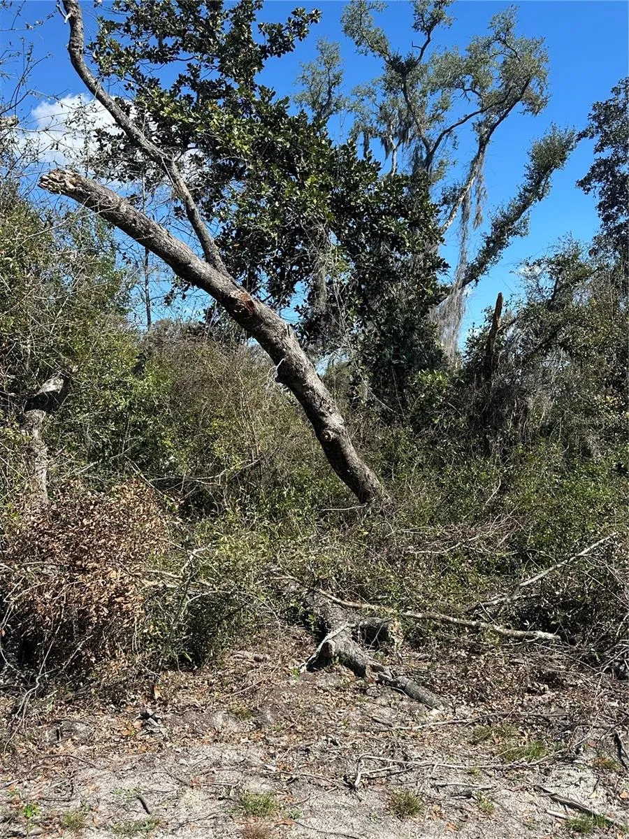 NE 688TH AVENUE Cross City, FL 32628