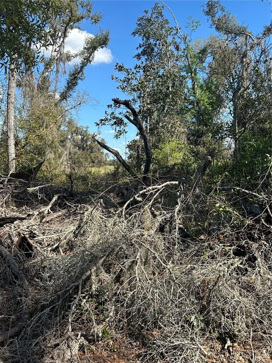 NE 688TH AVENUE Cross City, FL 32628
