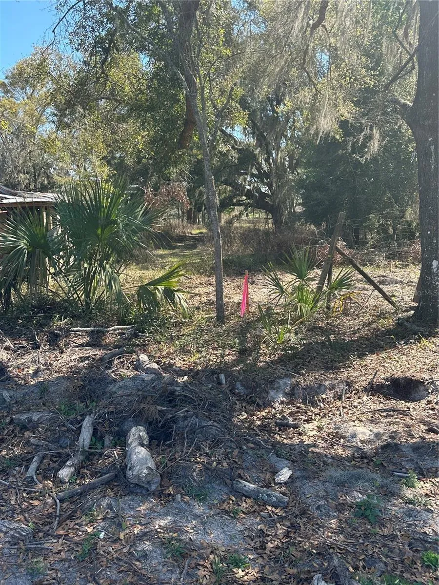 NE 688TH AVENUE Cross City, FL 32628