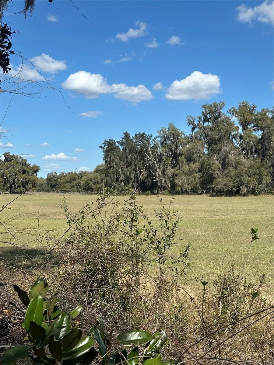 NE 688TH AVENUE Cross City, FL 32628