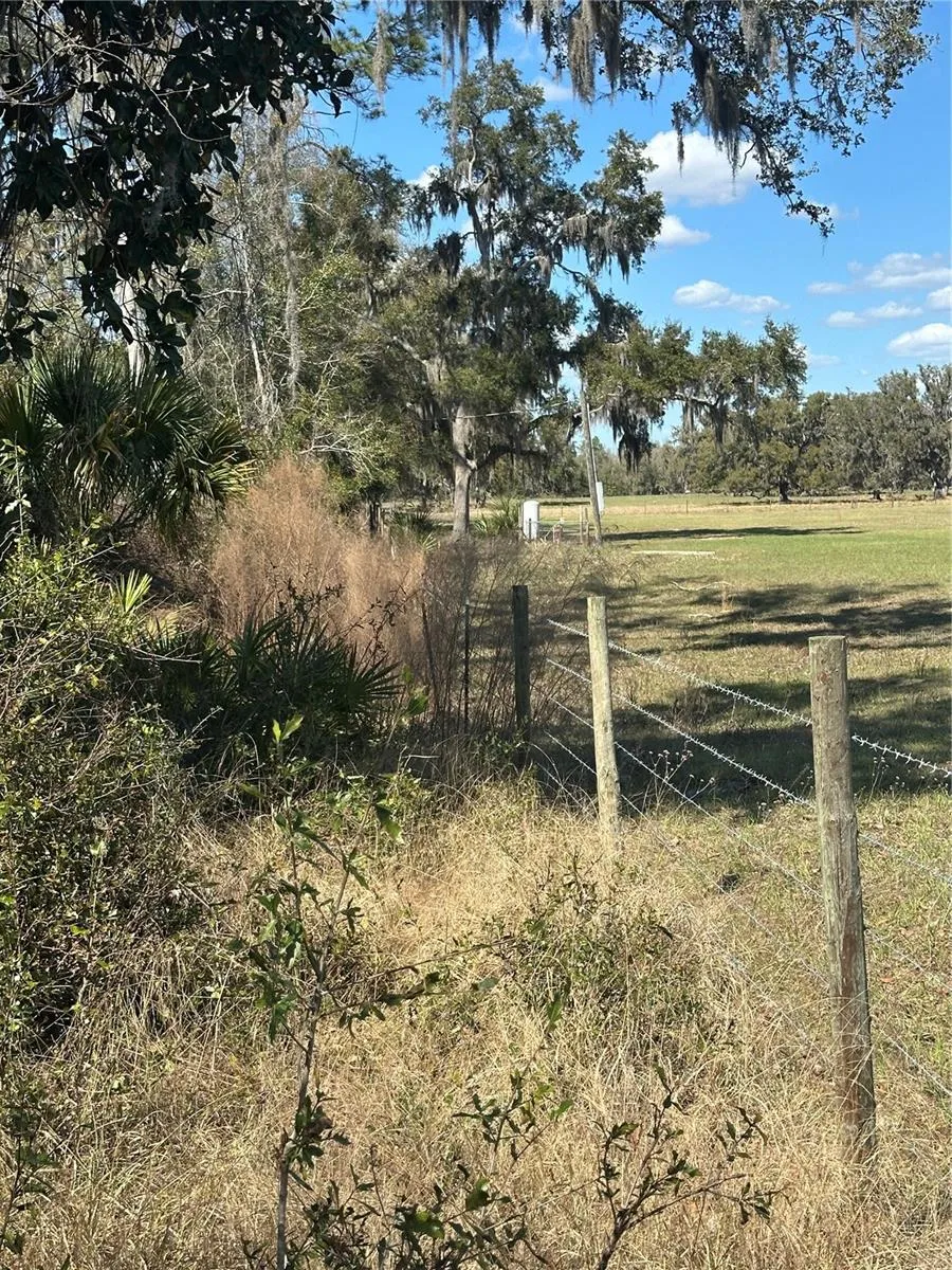 NE 688TH AVENUE Cross City, FL 32628