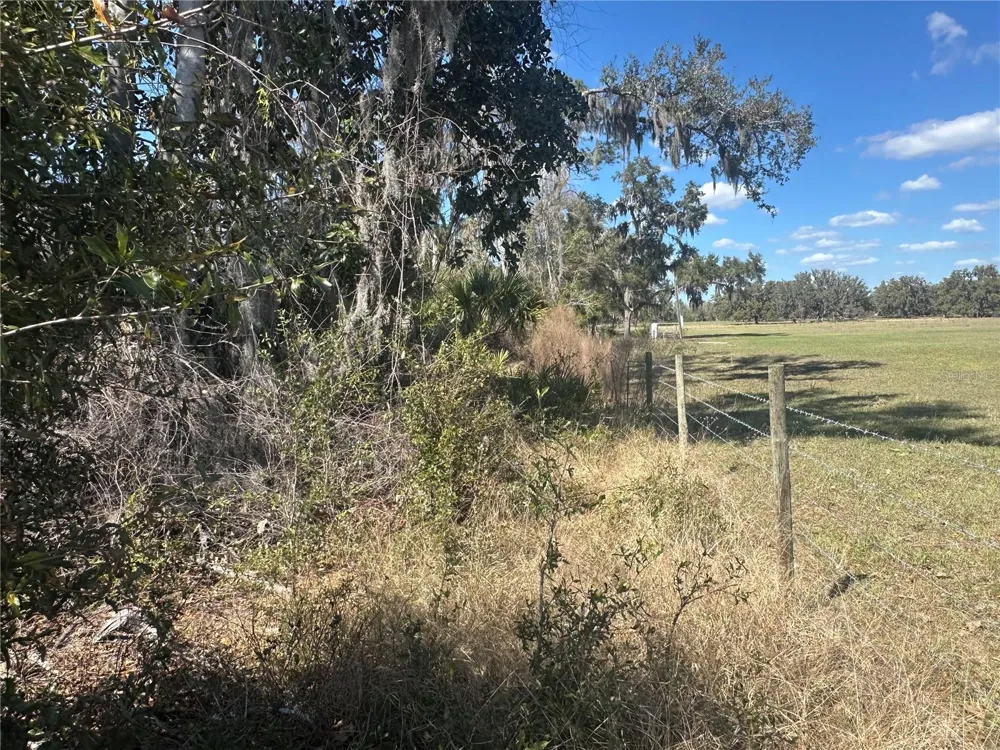 NE 688TH AVENUE Cross City, FL 32628