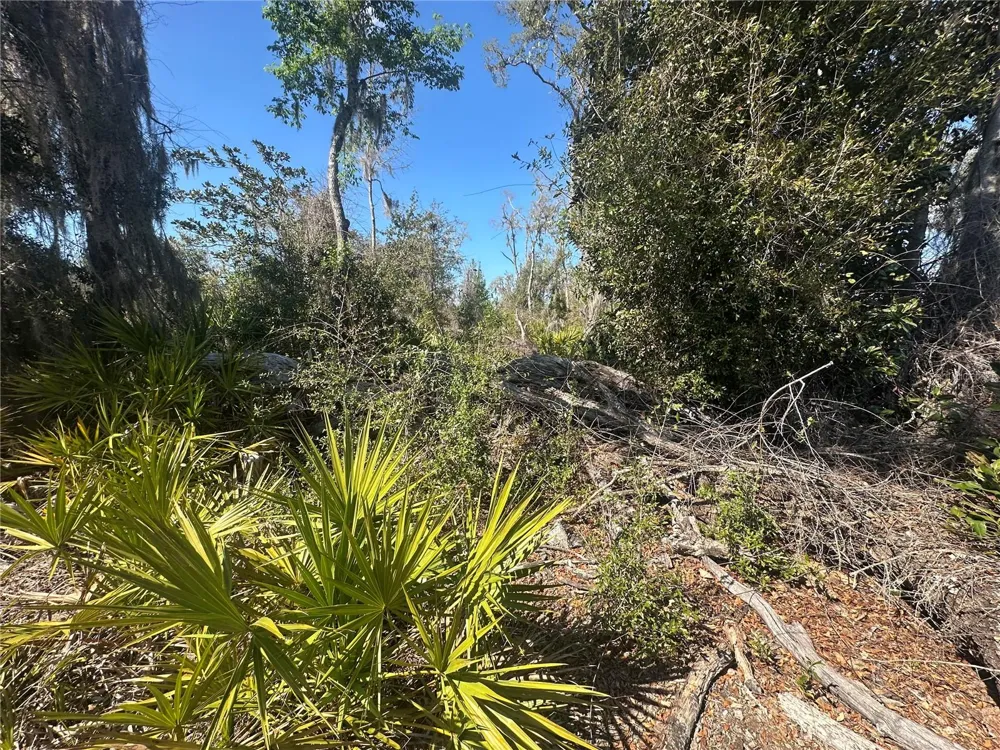 NE 688TH AVENUE Cross City, FL 32628