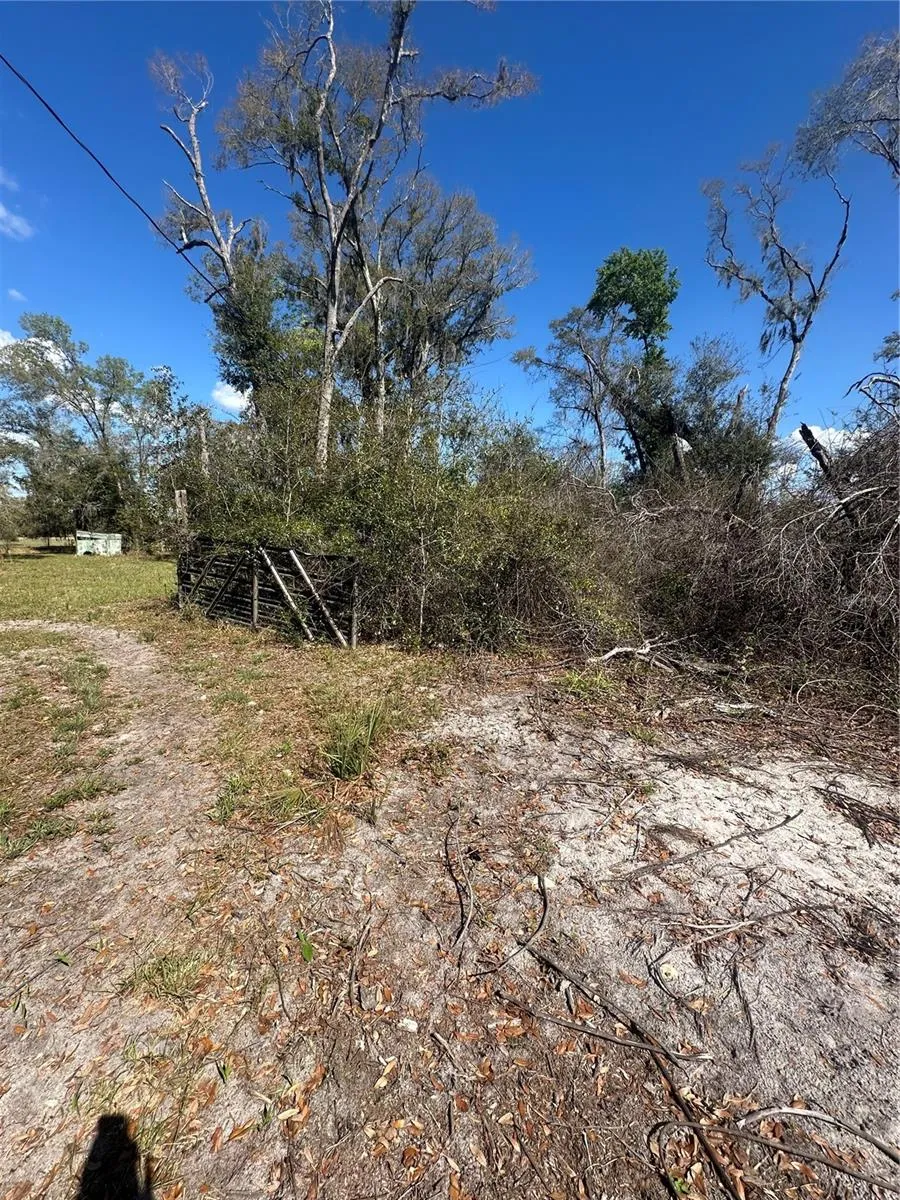 NE 688TH AVENUE Cross City, FL 32628