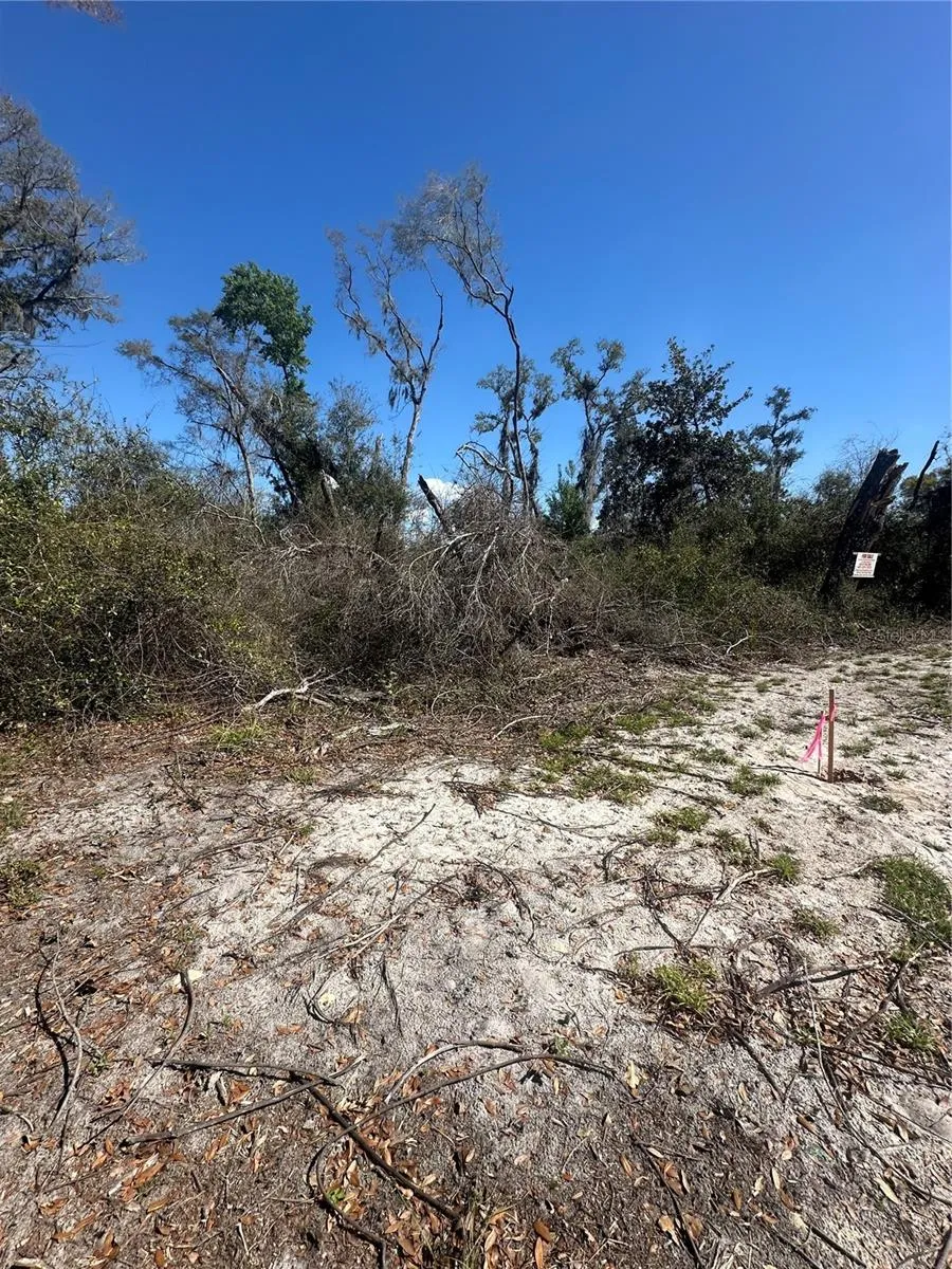 NE 688TH AVENUE Cross City, FL 32628