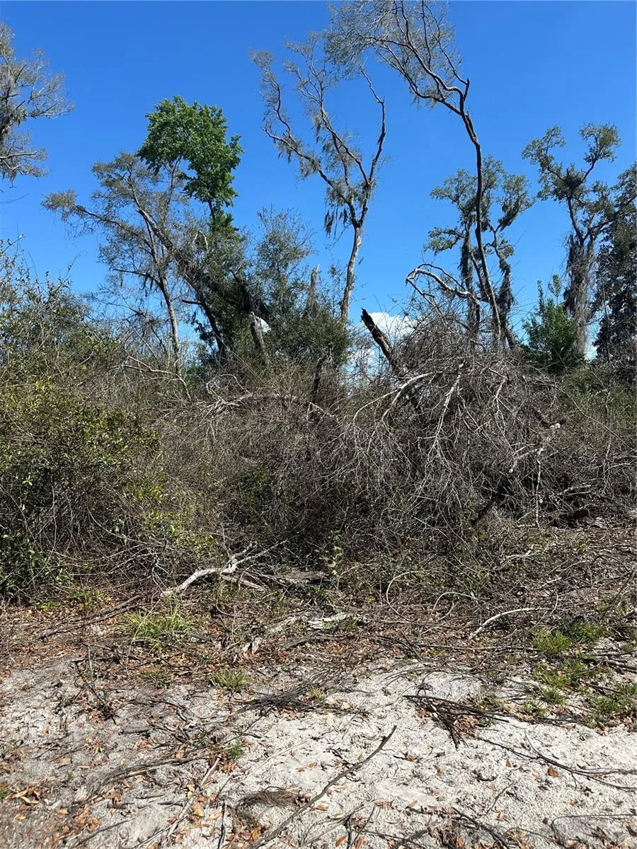 NE 688TH AVENUE Cross City, FL 32628