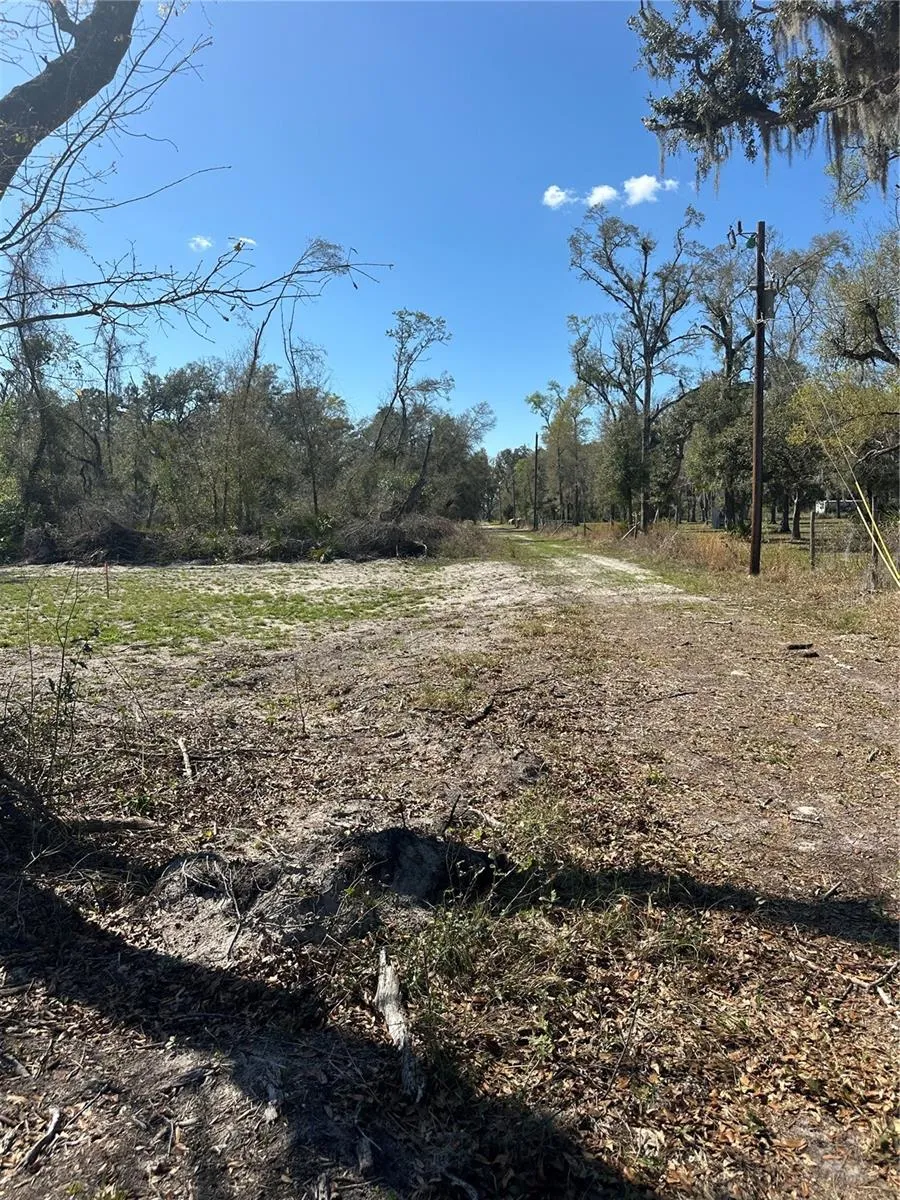NE 688TH AVENUE Cross City, FL 32628