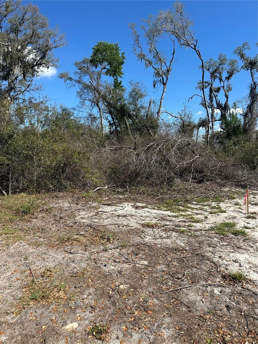 NE 688TH AVENUE Cross City, FL 32628