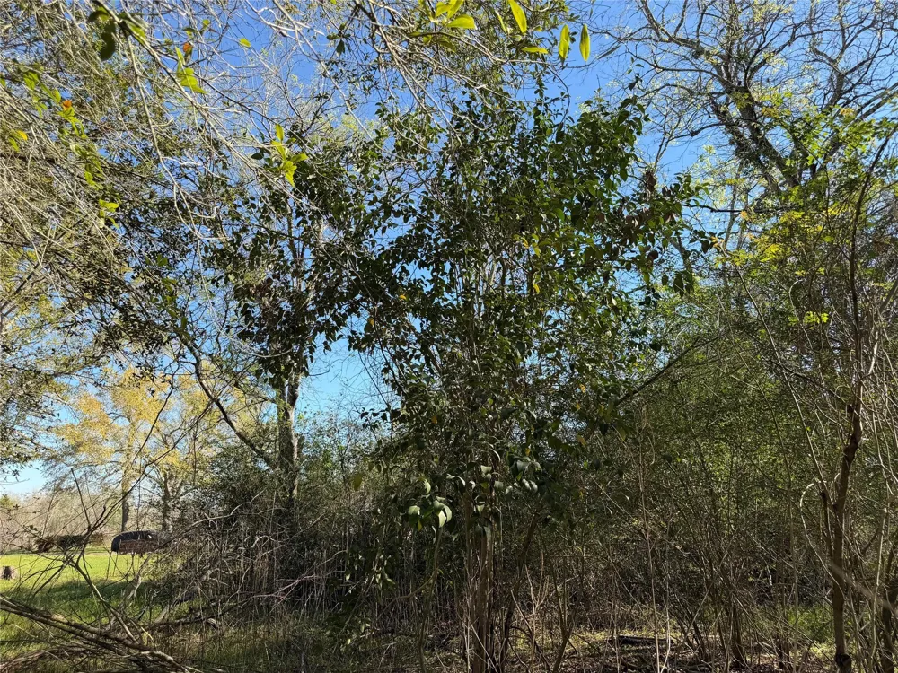34159 Butternut Lane Brookshire, TX 77423