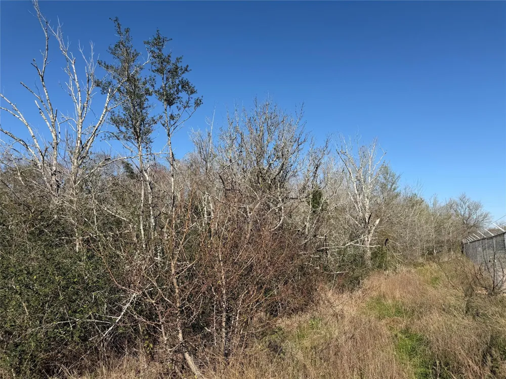 34159 Butternut Lane Brookshire, TX 77423