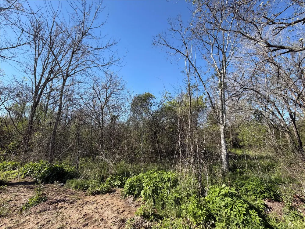 34159 Butternut Lane Brookshire, TX 77423