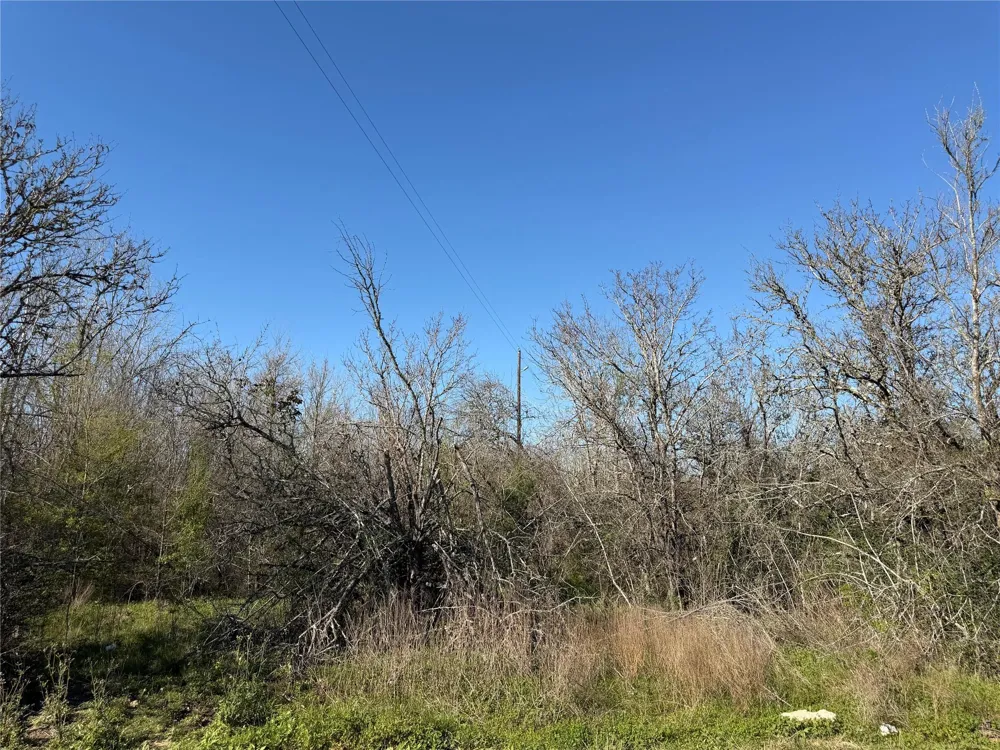 34159 Butternut Lane Brookshire, TX 77423