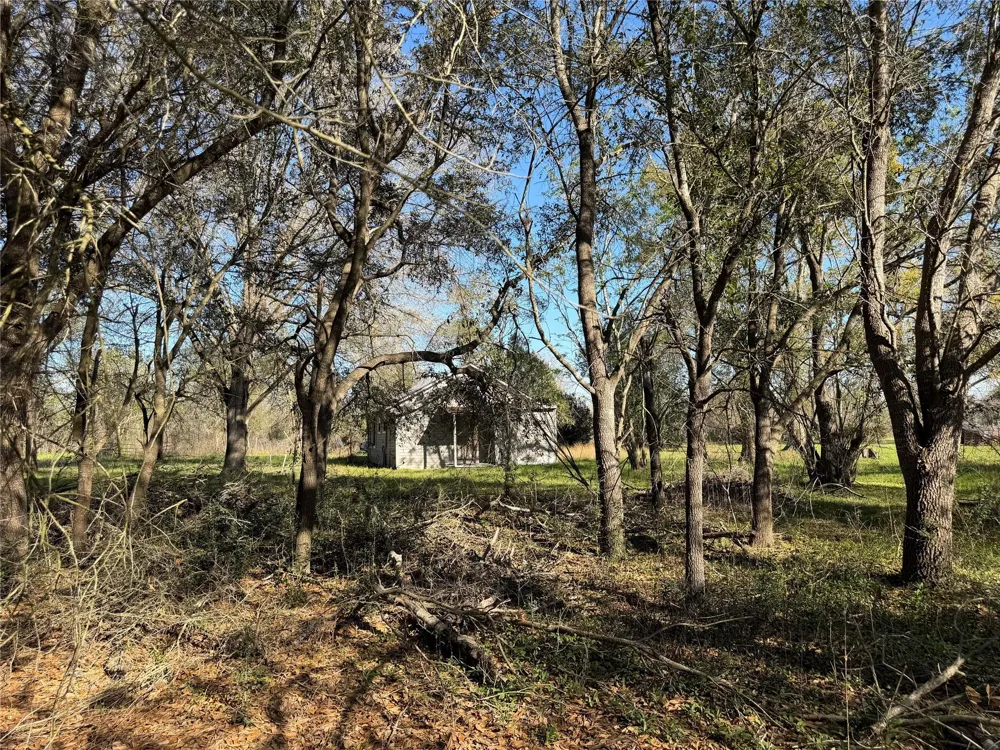 34159 Butternut Lane Brookshire, TX 77423