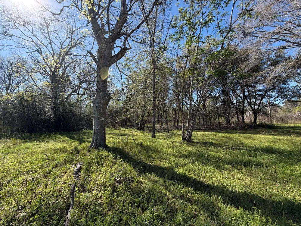 34159 Butternut Lane Brookshire, TX 77423