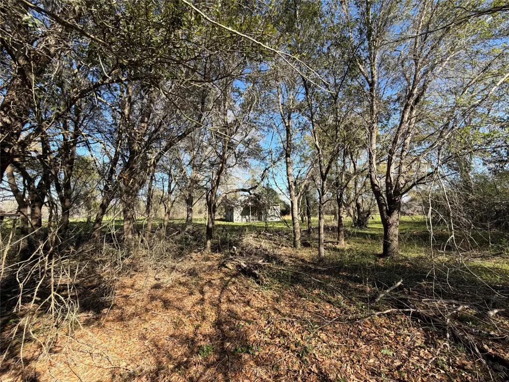 34159 Butternut Lane Brookshire, TX 77423