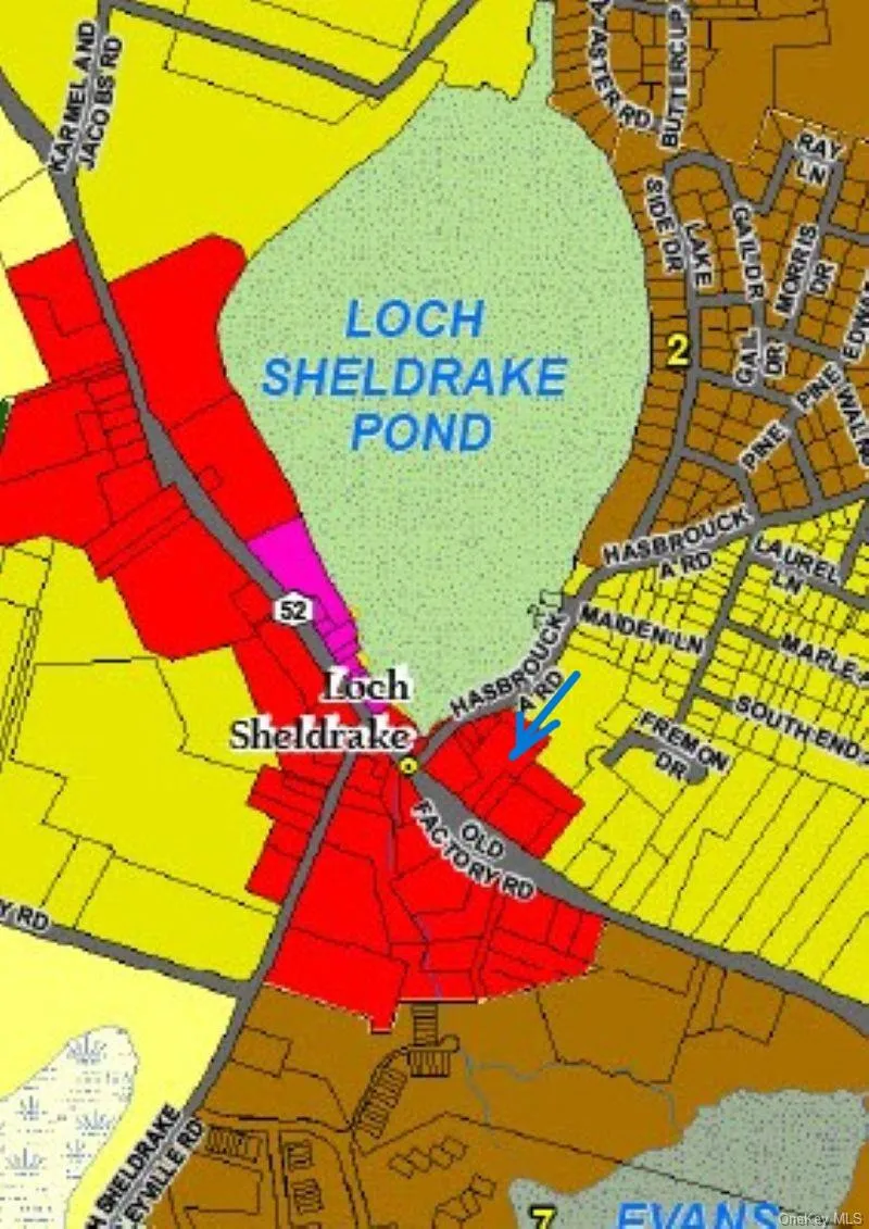 1122 State Route 52 Loch Sheldrake, NY 12759