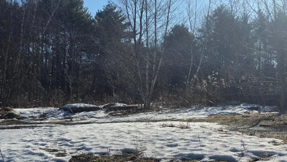 1122 State Route 52 Loch Sheldrake, NY 12759