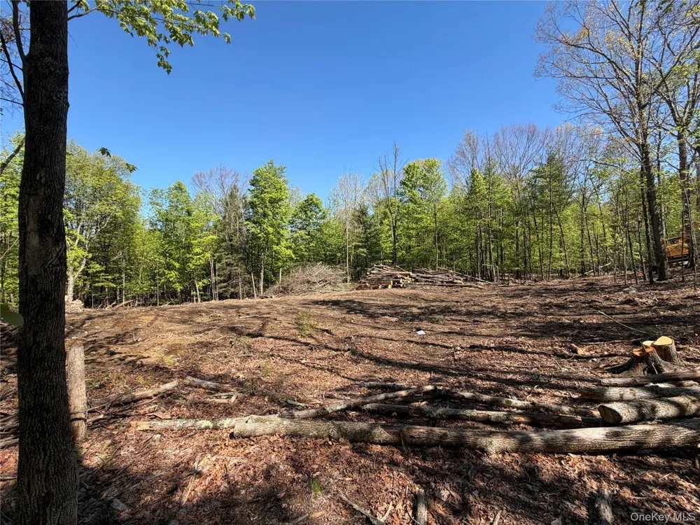 93 York Road S Bloomingburg, NY 12721