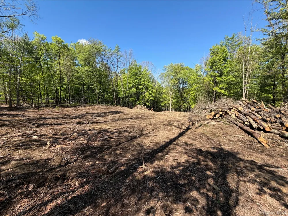93 York Road S Bloomingburg, NY 12721
