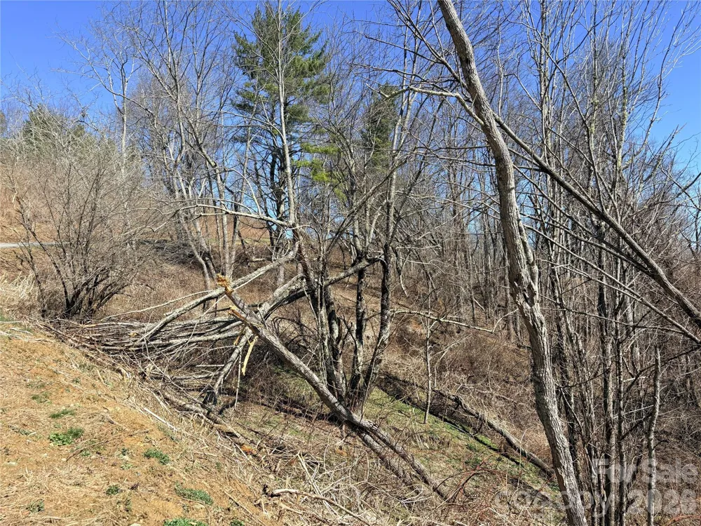 Lot 67 Linhigh Drive Linville, NC 28646