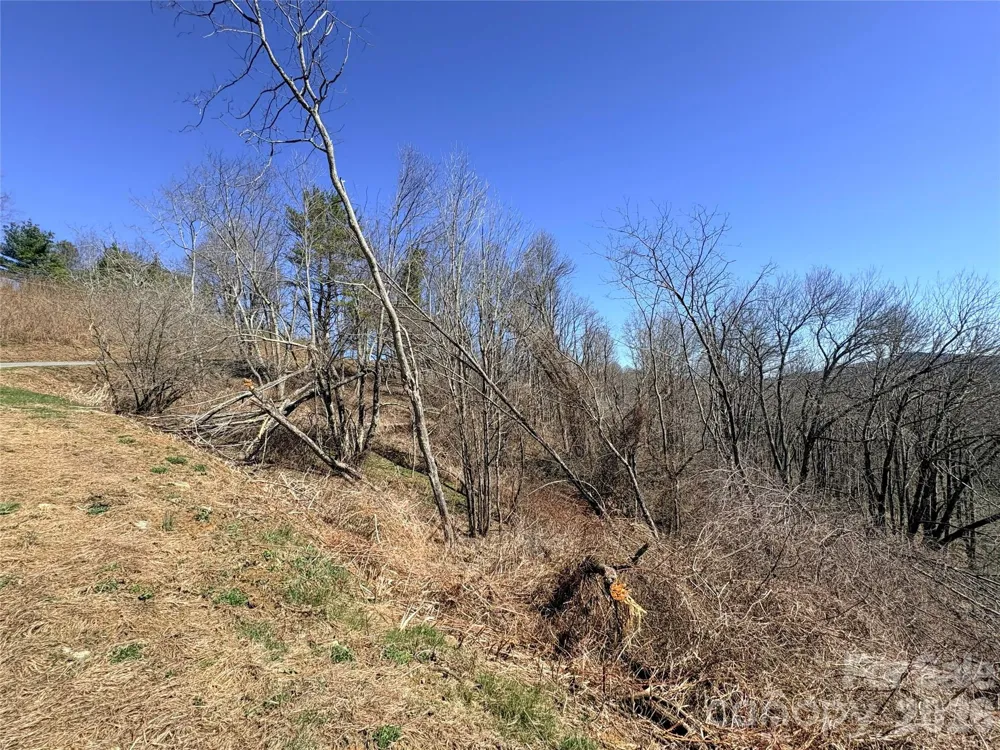 Lot 67 Linhigh Drive Linville, NC 28646
