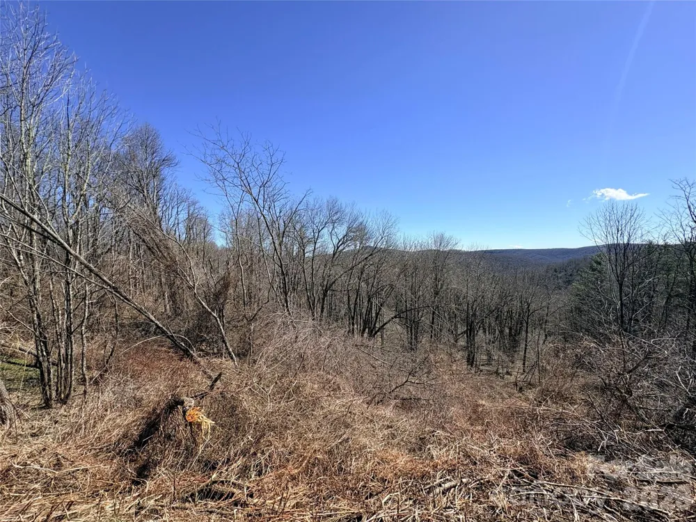 Lot 67 Linhigh Drive Linville, NC 28646
